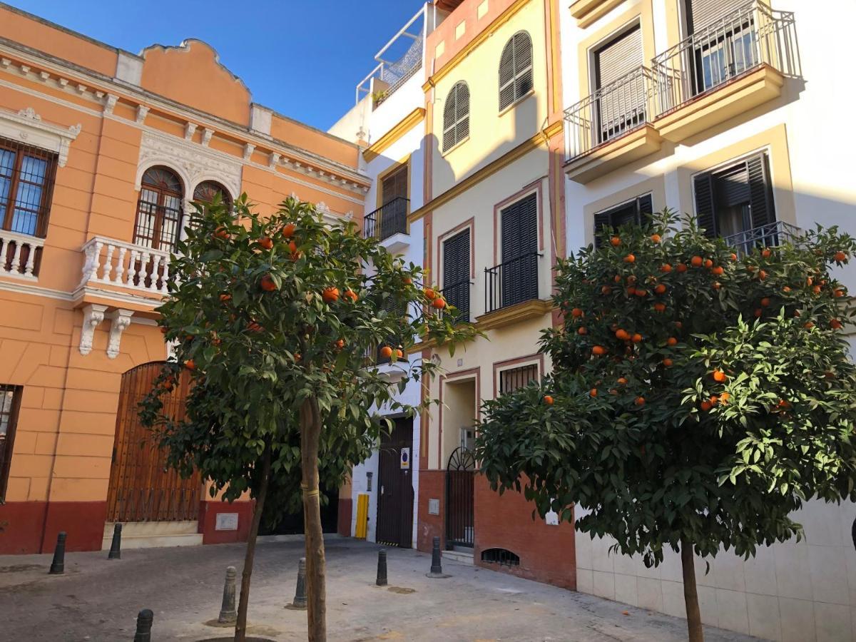Unique House - Private Spa&Pool -StayinSiviglia Esterno foto